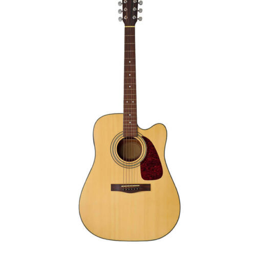 Acoustic Guitar